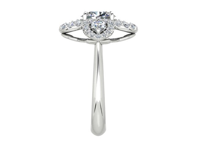 HALO | D1880