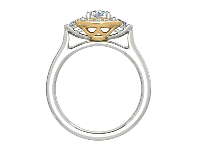ENGAGEMENT | E1123 60