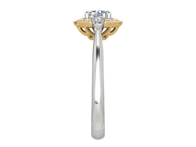 ENGAGEMENT | E1123 60