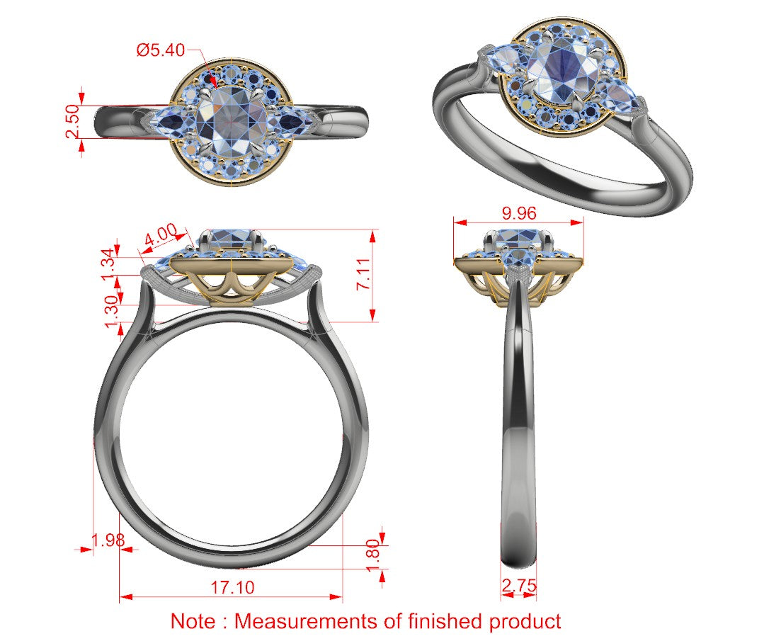 ENGAGEMENT | E1123 60