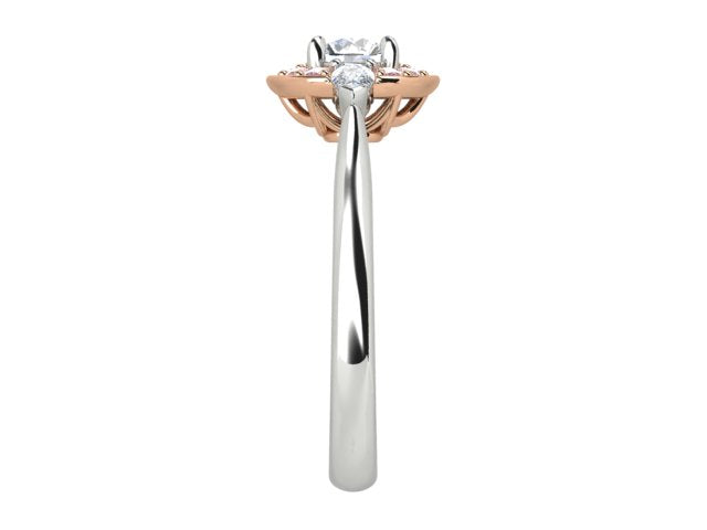ENGAGEMENT | E1123 60