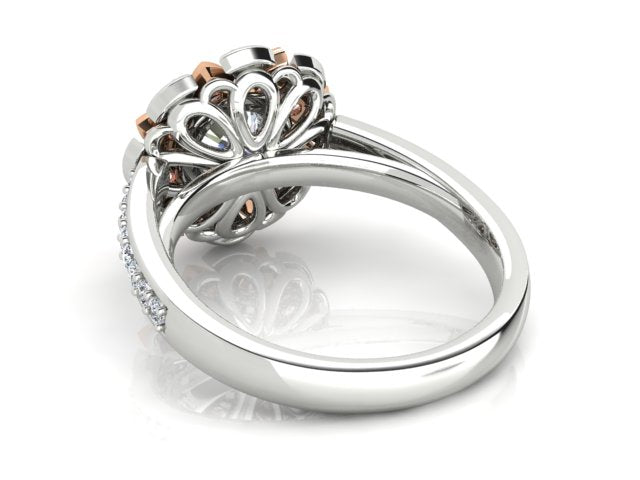 ENGAGEMENT | E1126 50