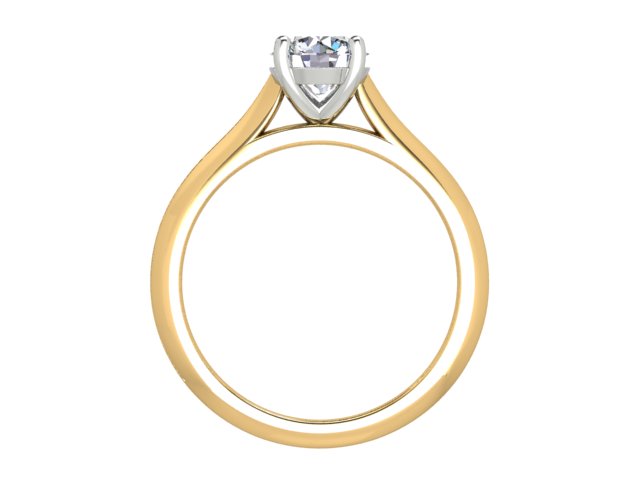 ENGAGEMENT | E1209 100
