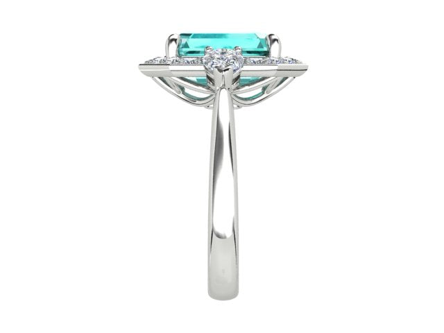 ZSMD0063