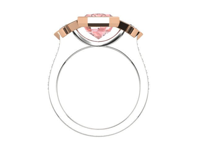 ZSMD0112