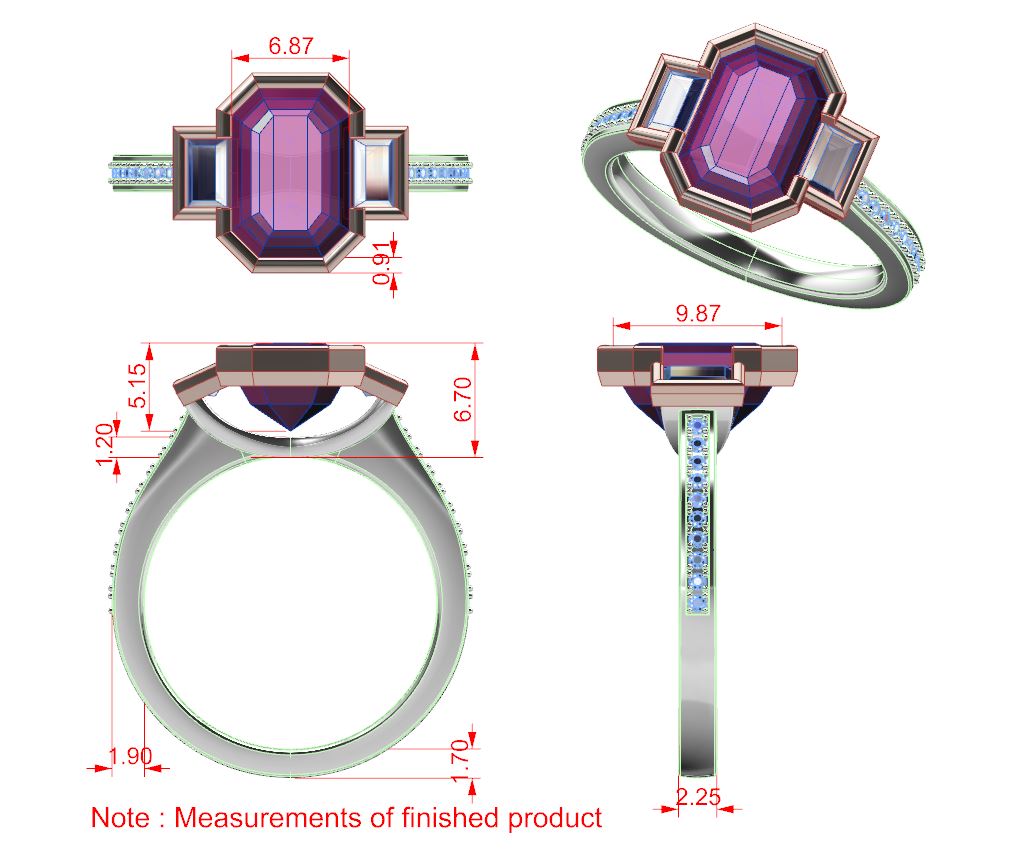 ZSMD0113