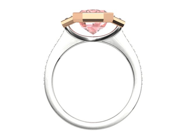 ZSMD0113