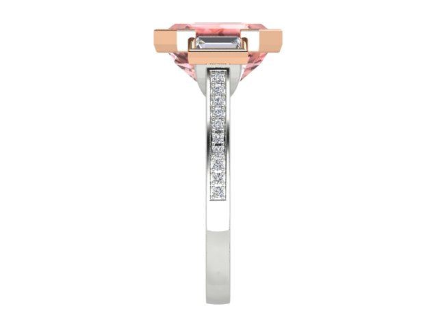 ZSMD0113