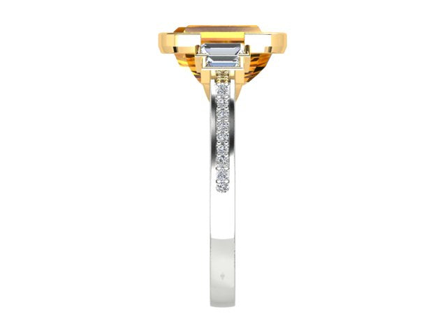 ZSMD0124